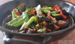 电影野味十足在线观看,一场惊心动魄的生存冒险之旅